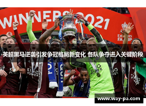 英超黑马逆袭引发争冠格局新变化 各队争夺进入关键阶段 英超黑马逆袭引发争冠格局新变化 各队争夺进入关键阶段