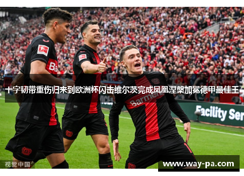 十字韧带重伤归来到欧洲杯闪击维尔茨完成凤凰涅槃加冕德甲最佳王